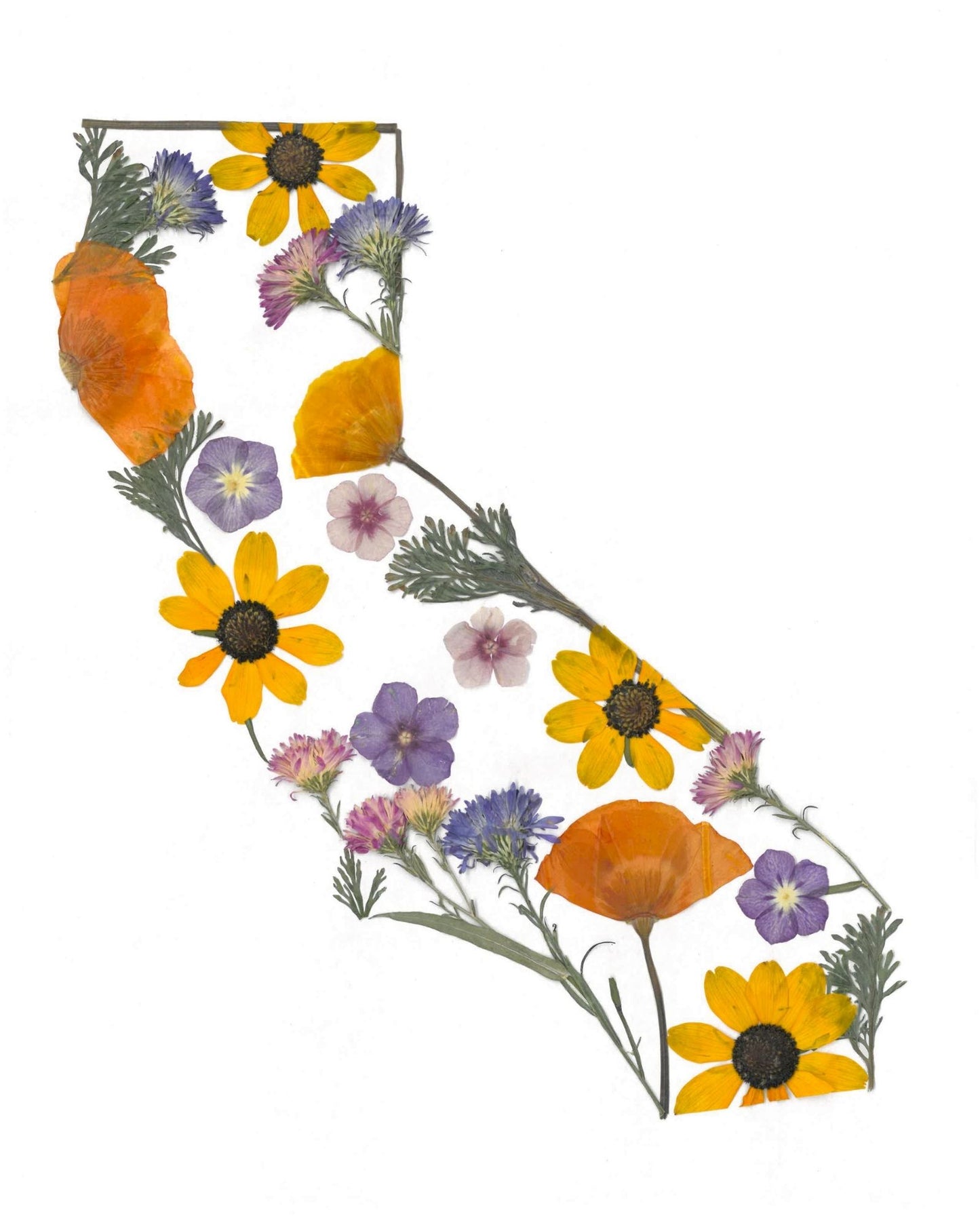 California Art Print