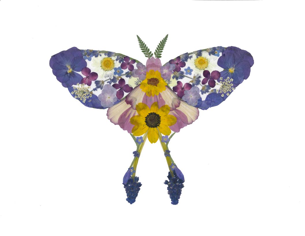 Luna Moth - Art Print