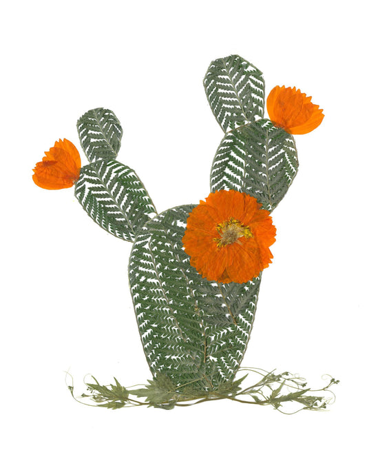 Cactus - Art Print