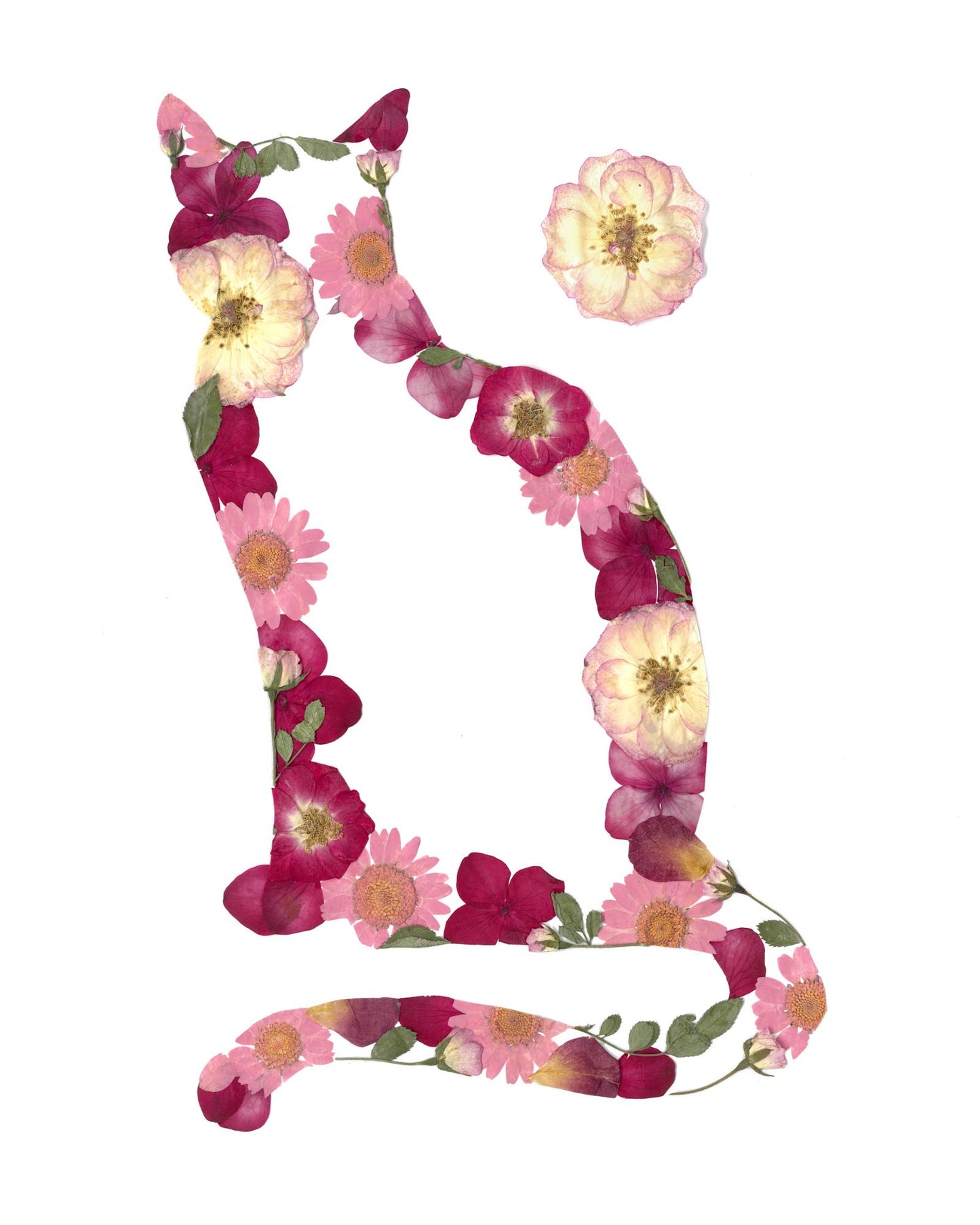 Cat - Art Print