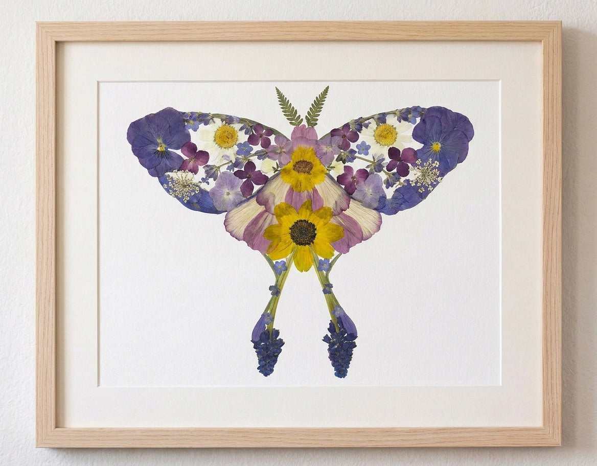 Luna Moth - Art Print
