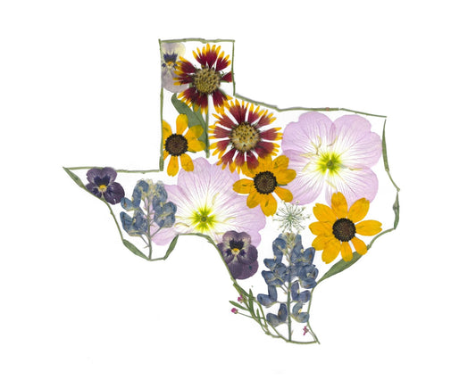 Texas - Art Print